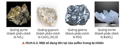 Hoá học 11 (Chân trời sáng tạo) Bài 6: Sulfur và sulfur dioxide (ảnh 2)