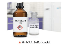 Hoá học 11 (Chân trời sáng tạo) Bài 7: Sulfuric acid và muối sulfate (ảnh 2)