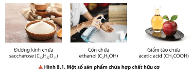 Hoá học 11 (Chân trời sáng tạo) Bài 8: Hợp chất hữu cơ và hóa học hữu cơ (ảnh 2)