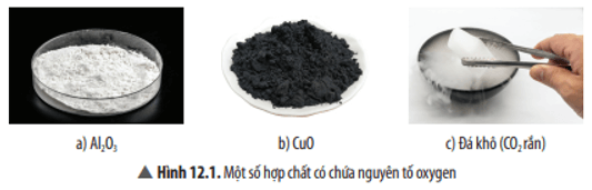 KHTN 8 (Chân trời sáng tạo) Bài 12: Oxide | Khoa học tự nhiên 8 (ảnh 2)