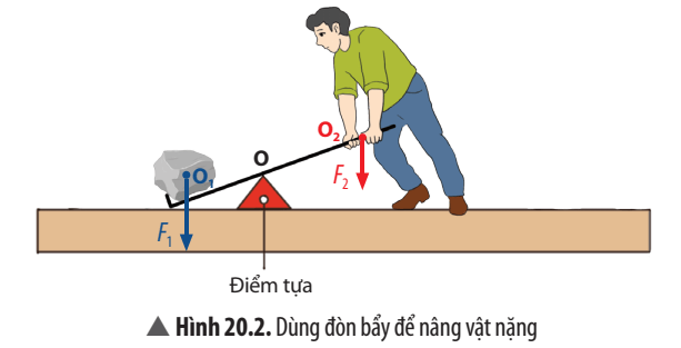 KHTN 8 (Chân trời sáng tạo) Bài 20: Đòn bẩy | Khoa học tự nhiên 8 (ảnh 5)