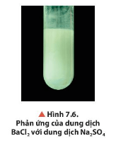 Hoá học 11 (Chân trời sáng tạo) Bài 7: Sulfuric acid và muối sulfate (ảnh 8)