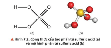 Hoá học 11 (Chân trời sáng tạo) Bài 7: Sulfuric acid và muối sulfate (ảnh 5)