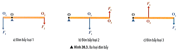 KHTN 8 (Chân trời sáng tạo) Bài 20: Đòn bẩy | Khoa học tự nhiên 8 (ảnh 6)