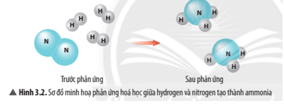 KHTN 8 (Chân trời sáng tạo) Bài 3: Phản ứng hoá học và năng lượng trong các phản ứng hoá học | Khoa học tự nhiên 8 (ảnh 2)