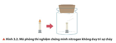 Hoá học 11 (Chân trời sáng tạo) Bài 3: Đơn chất nitrogen (ảnh 3)