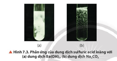 Hoá học 11 (Chân trời sáng tạo) Bài 7: Sulfuric acid và muối sulfate (ảnh 6)