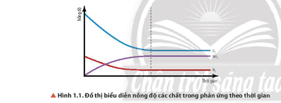 Hoá học 11 (Chân trời sáng tạo) Bài 1: Khái niệm về cân bằng hoá học (ảnh 2)