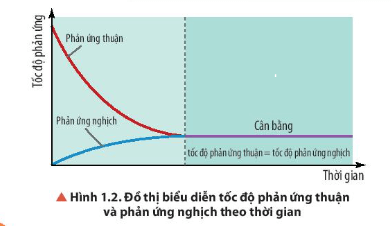 Hoá học 11 (Chân trời sáng tạo) Bài 1: Khái niệm về cân bằng hoá học (ảnh 3)