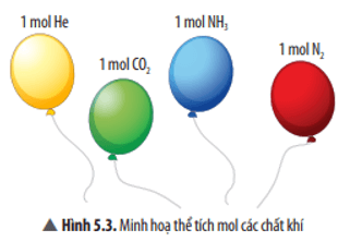 KHTN 8 (Chân trời sáng tạo) Bài 5: Mol và tỉ khối của chất khí | Khoa học tự nhiên 8 (ảnh 4)