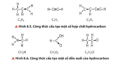 Hoá học 11 (Chân trời sáng tạo) Bài 8: Hợp chất hữu cơ và hóa học hữu cơ (ảnh 8)