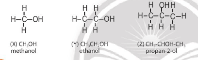 Hoá học 11 (Chân trời sáng tạo) Bài 11: Cấu tạo hóa học hợp chất hữu cơ (ảnh 18)