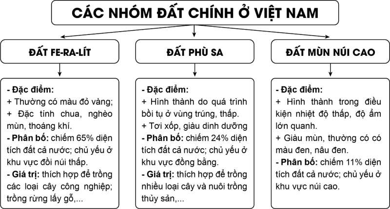 Địa lí 8 (Cánh diều) Bài 6: Thực hành: Vẽ và phân tích biểu đồ khí hậu (ảnh 5)