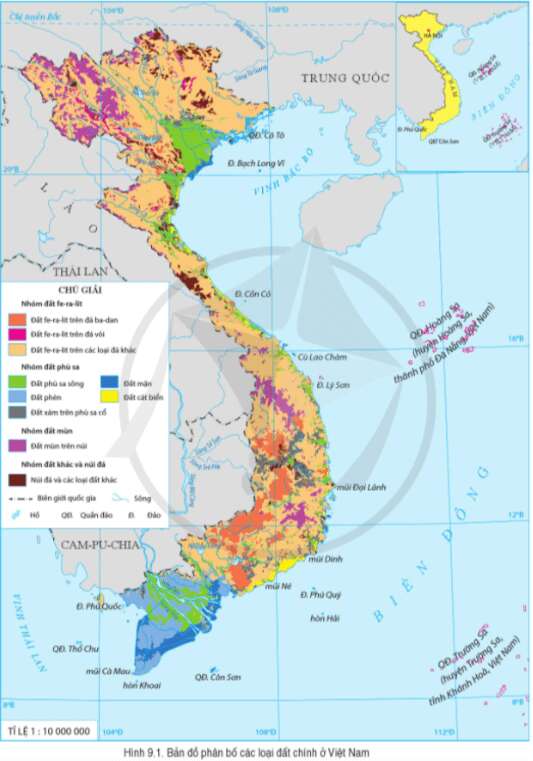 Địa lí 8 (Cánh diều) Bài 6: Thực hành: Vẽ và phân tích biểu đồ khí hậu (ảnh 1)