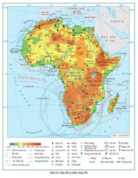 Đọc thông tin và quan sát hình 9.2, hãy nêu tên một số loài động vật địa phương của châu Phi (ảnh 1)