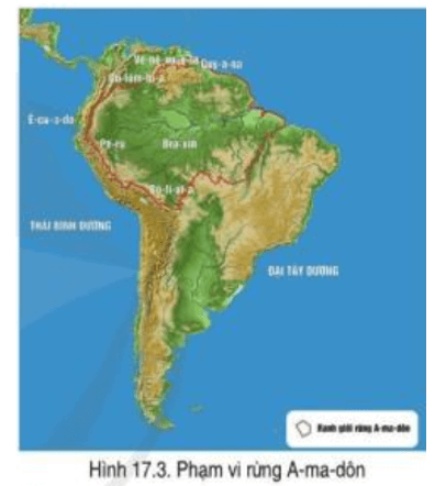 Đọc thông tin và quan sát hình 17.3, cho biết đặc điểm rừng nhiệt đới A-ma-dôn (ảnh 1)