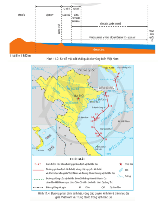 Địa lí 8 (Cánh diều) Bài 11: Phạm vi Biển Đông: Các vùng biển của Việt Nam ở Biển Đông: Đặc điểm tự nhiên vùng biển đảo Việt Nam (ảnh 4)