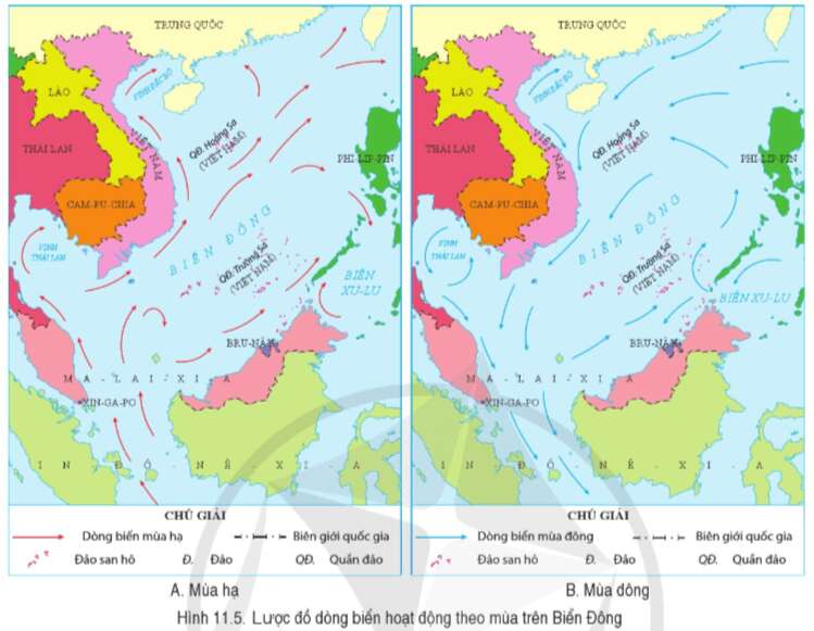 Địa lí 8 (Cánh diều) Bài 11: Phạm vi Biển Đông: Các vùng biển của Việt Nam ở Biển Đông: Đặc điểm tự nhiên vùng biển đảo Việt Nam (ảnh 6)