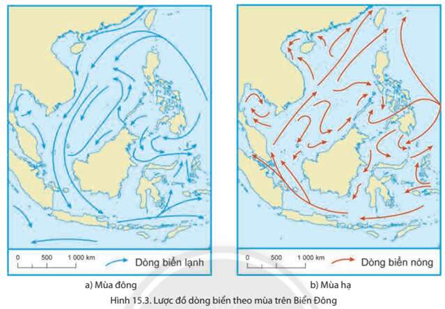 Địa lí 8 (Chân trời sáng tạo) Bài 15: Đặc điểm tự nhiên, môi trường và tài nguyên vùng biển đảo Việt Nam (ảnh 6)