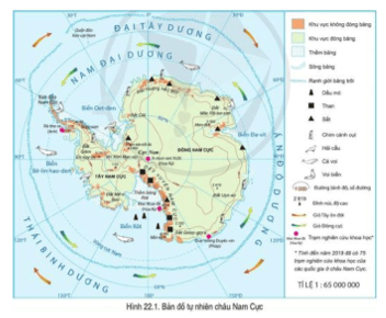 Quan sát hình 22.1 và quả địa cầu, nêu đặc điểm vị trí địa lí Châu Nam Cực (ảnh 1)