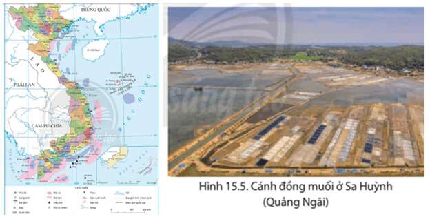Địa lí 8 (Chân trời sáng tạo) Bài 15: Đặc điểm tự nhiên, môi trường và tài nguyên vùng biển đảo Việt Nam (ảnh 9)