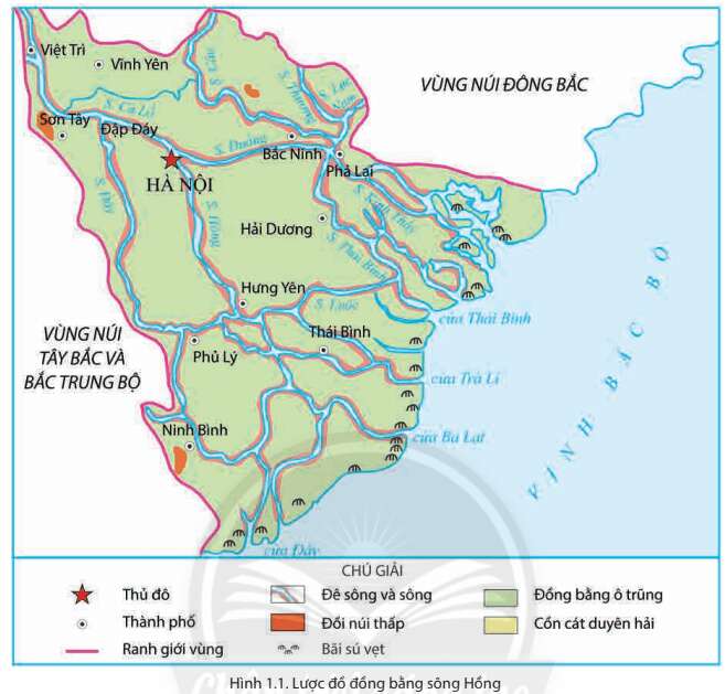 Lịch sử 8 (Chân trời sáng tạo) Chủ đề chung 1: Văn minh châu thổ sông Hồng và sông Cửu Long (ảnh 1)