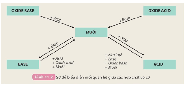 KHTN 8 Bài 11 (Kết nối tri thức): Muối (ảnh 3)