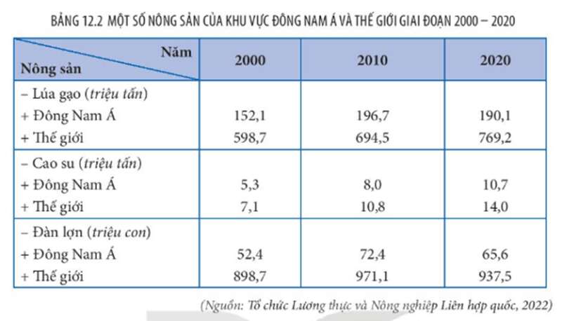 Địa lí 11 (Kết nối tri thức) Bài 12: Kinh tế khu vực Đông Nam Á (ảnh 1)