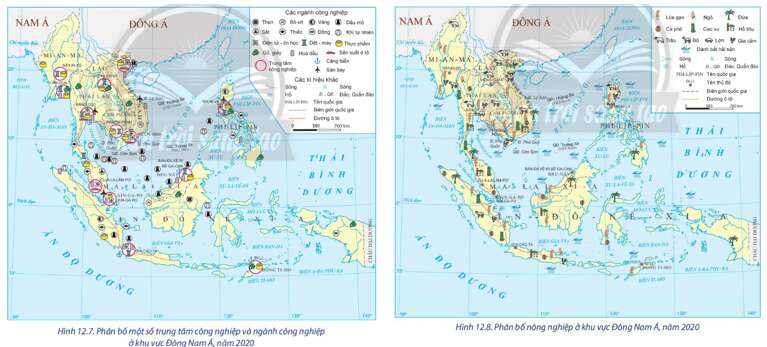 Địa lí 11 (Chân trời sáng tạo) Bài 12: Tự nhiên, dân cư, xã hội và kinh tế Đông Nam Á (ảnh 8)
