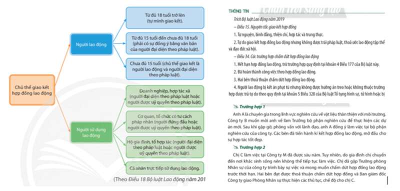 Chuyên đề KTPL 11 (Chân trời sáng tạo) Bài 7: Hợp đồng lao động, tiền lương và thưởng, bảo hiểm xã hội, tranh chấp và giải quyết tranh chấp lao động | Giáo dục kinh tế và pháp luật 11 (ảnh 4)