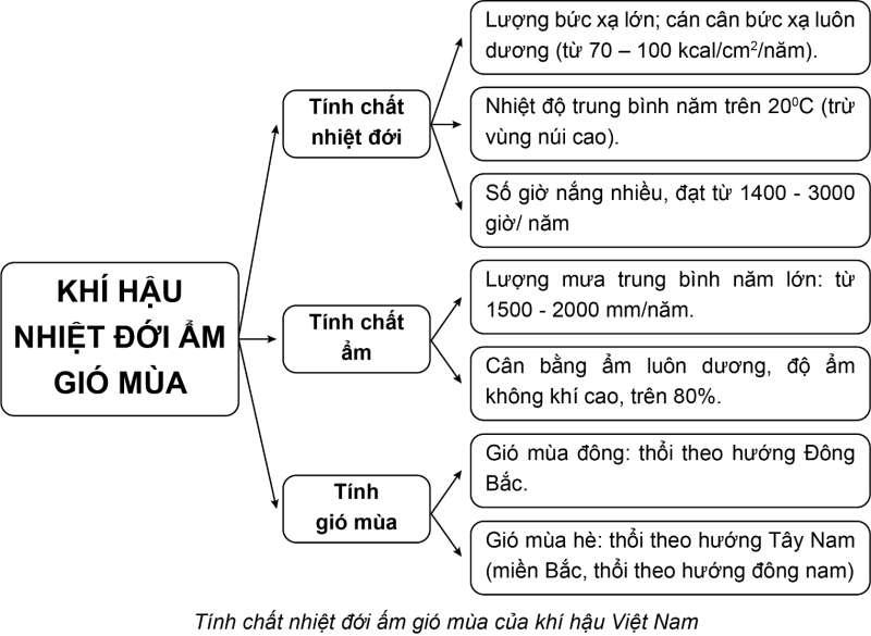 Địa lí 8 (Cánh diều) Bài 2: Địa hình Việt Nam (ảnh 4)