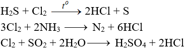 Fe(NO3)2 + Cl2→ Fe(NO3)3 + FeCl3 | Fe(NO3)2 ra Fe(NO3)3 (ảnh 3)