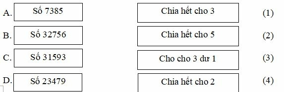 Bài tập cuối tuần Toán lớp 4 (Chân trời sáng tạo) Tuần 18 có đáp án (ảnh 2)