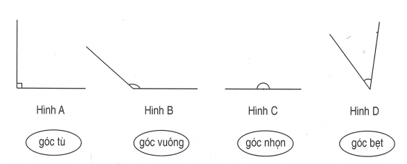 Bài tập cuối tuần Toán lớp 4 (Chân trời sáng tạo) Tuần 8 có đáp án (ảnh 4)