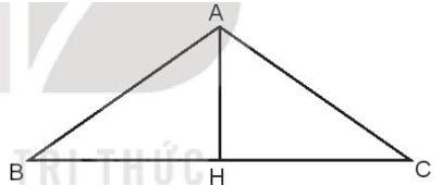 Bài 8: Góc nhọn, góc tù, góc bẹt- Kết nối tri thức Toán lớp 4 Tập 1 (Kết nối tri thức) (ảnh 13)