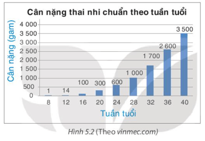 Toán 8 (Kết nối tri thức) Bài 19: Biểu diễn dữ liệu bằng bảng, biểu đồ (ảnh 4)