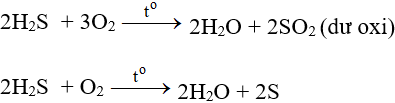 Mn + H2S → MnS + H2 | Mn ra MnS (ảnh 1)