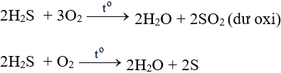 KMnO4 + H2S → KOH + MnO2 + S + H2O | KMnO4 ra MnO2  (ảnh 1)
