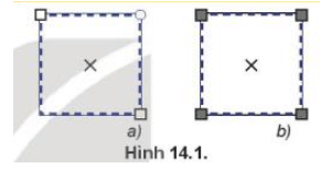 Quan sát hai hình chữ nhật ở Hình 14.1 và tìm ra điểm khác nhau giữa hai hình (ảnh 2)