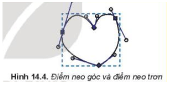 Quan sát hình trái tim xác định xem các điểm được đánh dấu nằm trên Hình 14.4 (ảnh 1)