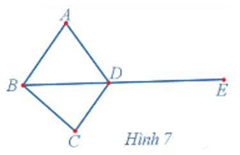 Chuyên đề Toán 11 (Cánh diều) Bài 1: Một vài yếu tố của lí thuyết đồ thị. Đường đi Euler và đường đi Hamilton (ảnh 7)