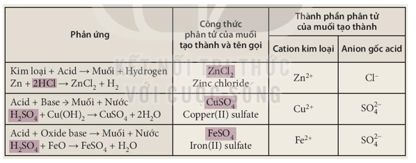 KHTN 8 Bài 11 (Kết nối tri thức): Muối (ảnh 1)