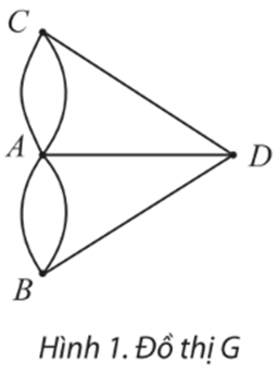 Chuyên đề Toán 11 (Chân trời sáng tạo) Bài 2: Đường đi Euler và đường đi Hamilton (ảnh 3)