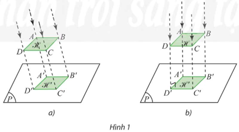Chuyên đề Toán 11 (Chân trời sáng tạo) Bài 1: Hình biểu diễn của một hình, khối (ảnh 2)