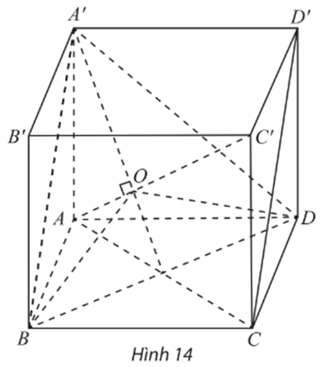 Chuyên đề Toán 11 (Chân trời sáng tạo) Bài 1: Hình biểu diễn của một hình, khối (ảnh 16)