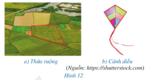 Toán 8 Bài 2 (Cánh diều): Hình chóp tứ giác đều (ảnh 1)