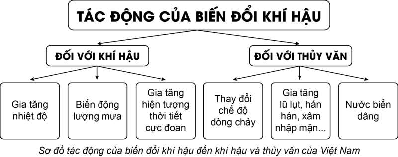 Địa lí 8 (Cánh diều) Bài 8: Tác động của biến đổi khí hậu đối với khí hậu và thuỷ văn Việt Nam (ảnh 2)