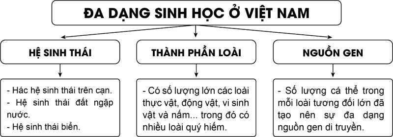 Địa lí 8 (Cánh diều) Bài 10: Đặc điểm chung của sinh vật và vấn để bảo tồn đa dạng sinh học ở Việt Nam (ảnh 2)