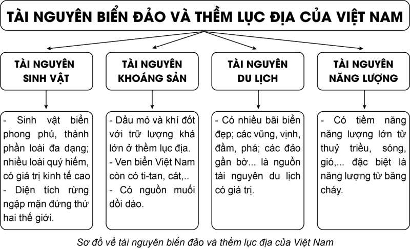 Địa lí 8 (Cánh diều) Bài 12: Môi trường và tài nguyên biển đảo Việt Nam (ảnh 2)