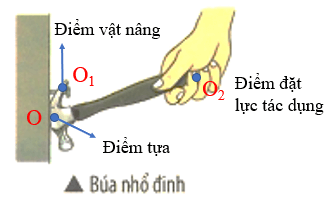 KHTN 8 (Chân trời sáng tạo) Bài 20: Đòn bẩy | Khoa học tự nhiên 8 (ảnh 4)